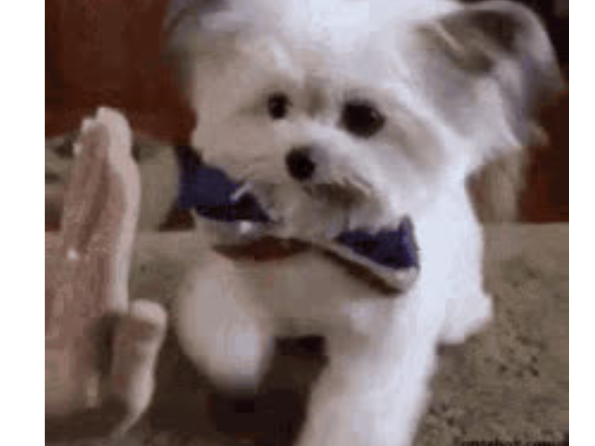 https://www.grouptogether.com/assets/16_2026-09-23-201238_zavt.png?v=1790194359