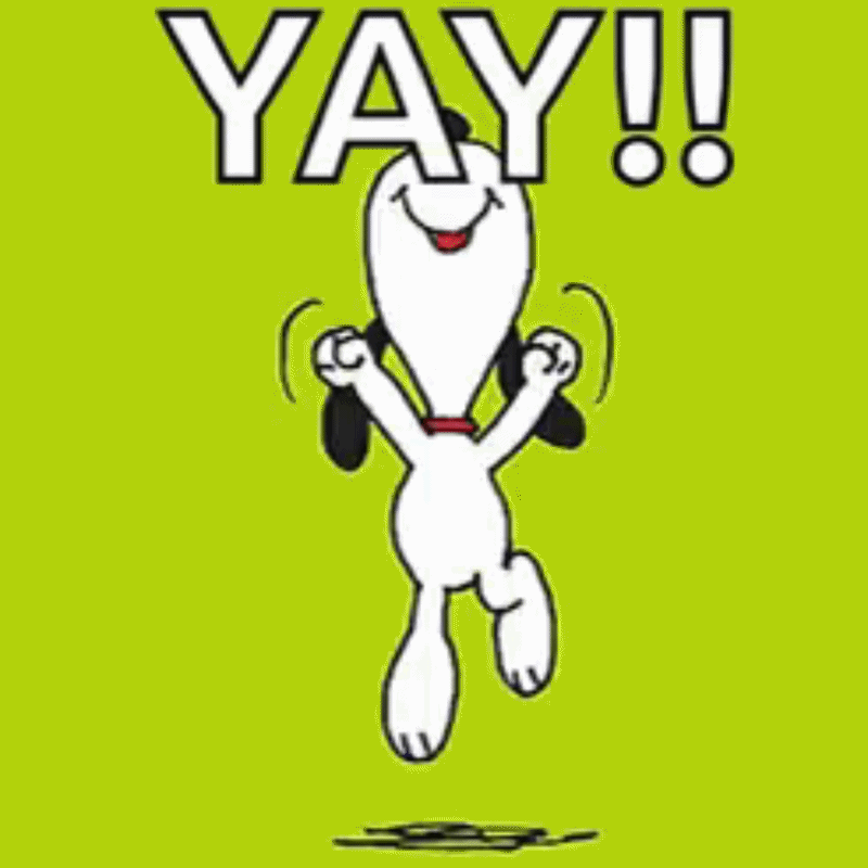 https://www.grouptogether.com/assets/Snoopy-%E2%80%9CYay%E2%80%9D-Jumping-Meme.gif?v=1790605370