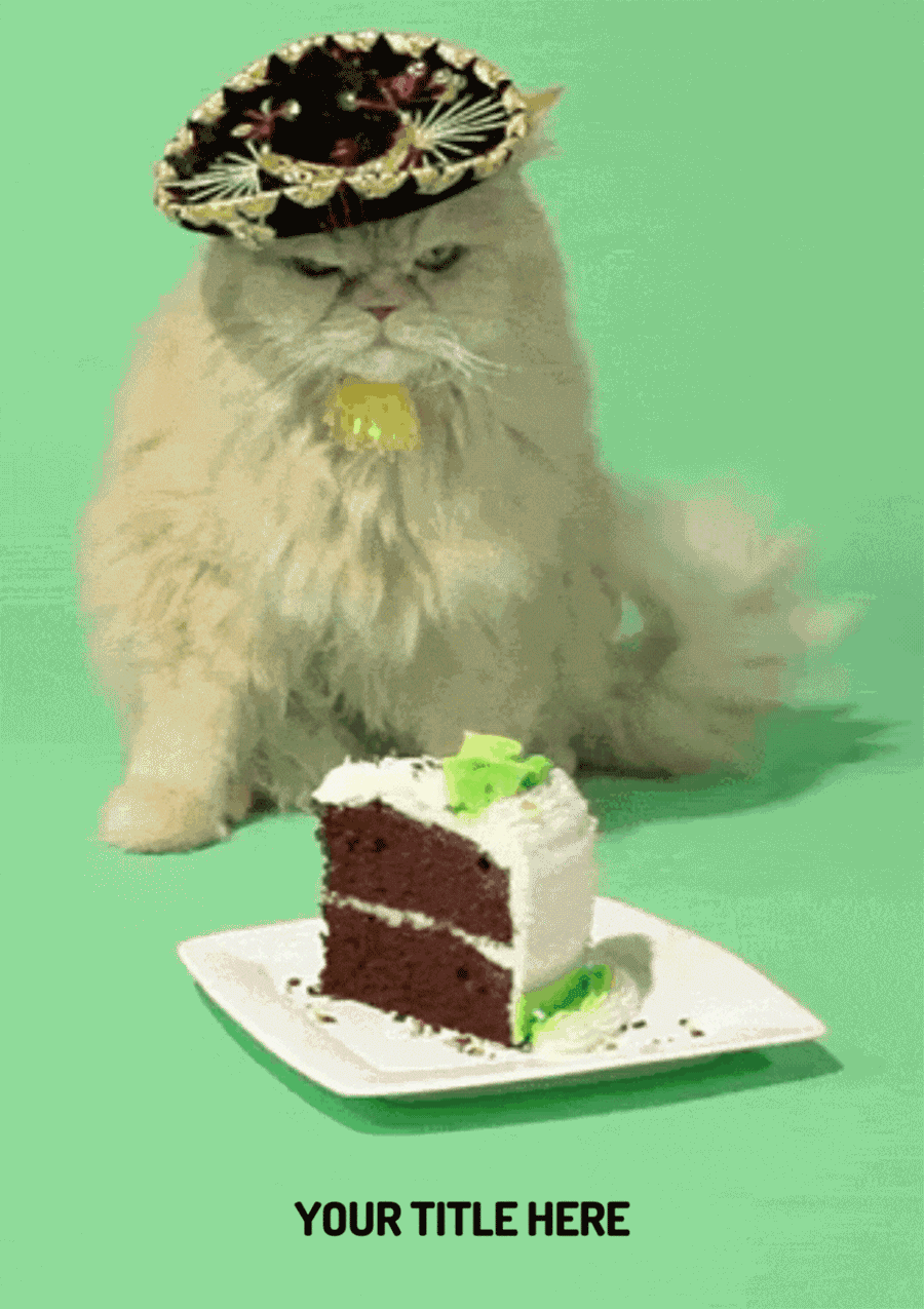 Mexican Hat Cat & Cake Animated Greeting Card