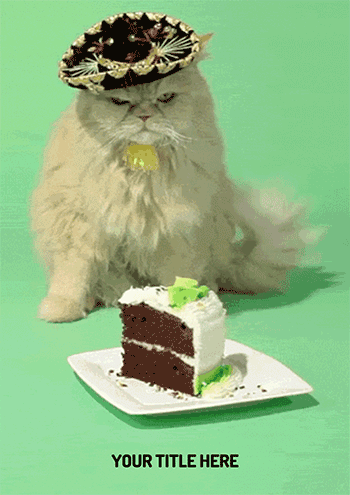 Mexican Hat Cat & Cake Animated Greeting Card
